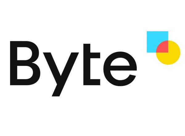 byte占用的字节数是多少？