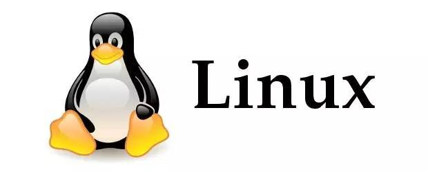 Linux系统本地进程攻击方式须知
