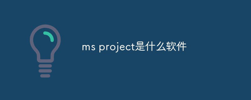 ms project是什么类型的软件？